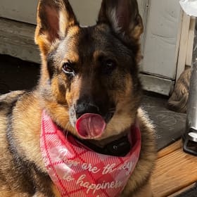 Athena