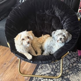 Nilla and Lola
