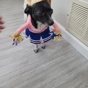 Elli
