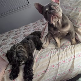 Vivian and Norman