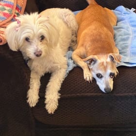 Daisy and Perry