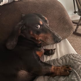 Peanut