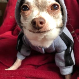 Tobi