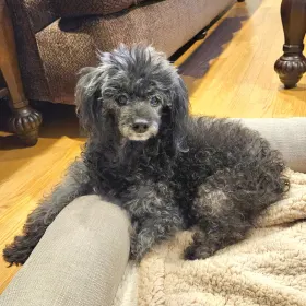 Chloe
