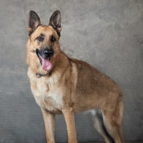 Lazarus