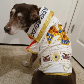 Elvis