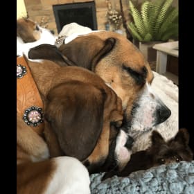 Maggie_Sophie_Ellie and Bear Bear
