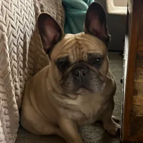 Axle