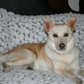 Bonnie