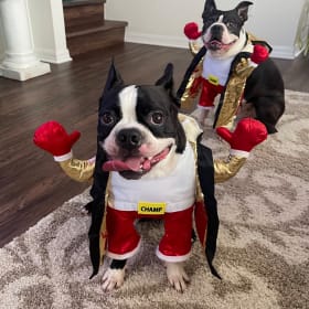 Bandit and Bugsy