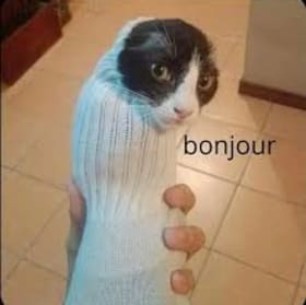 Bonjour