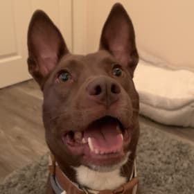 Max