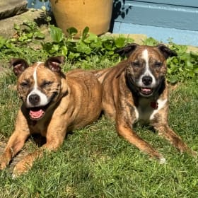Darla and Spanky