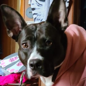 Lucy