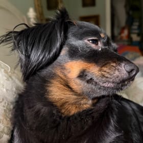 Maggie