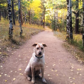Rusty