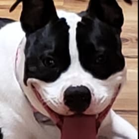 Katie