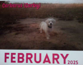 Cerberus - Cerby