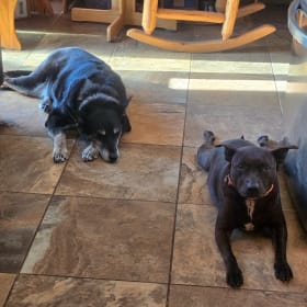 Vigo_and_Sadie