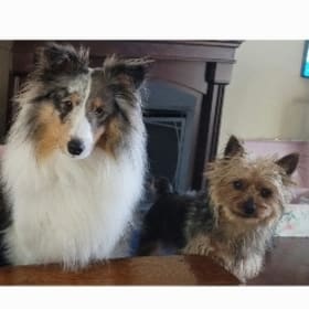 Donald and BooBoo