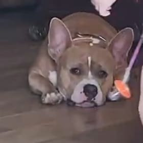 Mia Mae