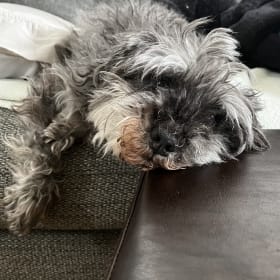 Ellie
