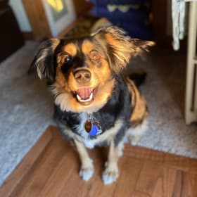 Harley