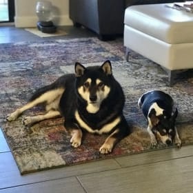Rico Suave and MaisOui