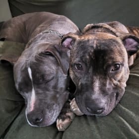 Willow and Sage