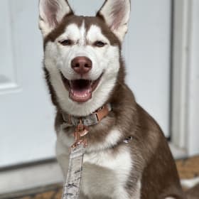 Zoe