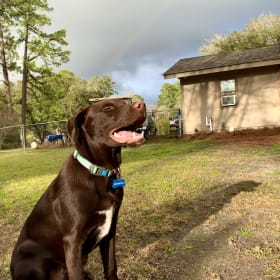 Remington