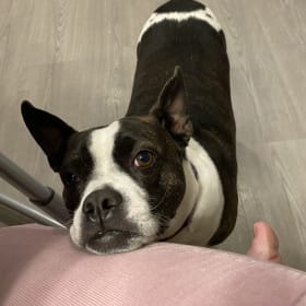 Amy