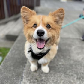 Luca