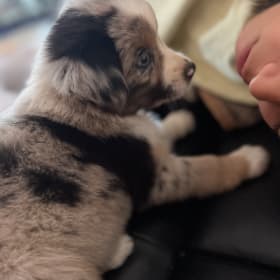 Yuki