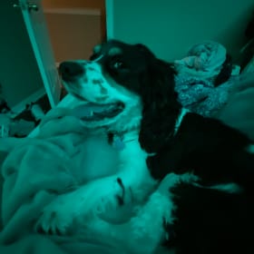 Charlie