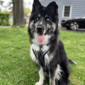 Suki