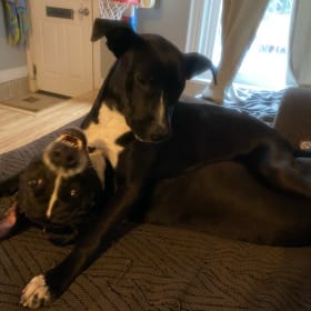 Biggie and Missy
