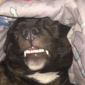 Zulu