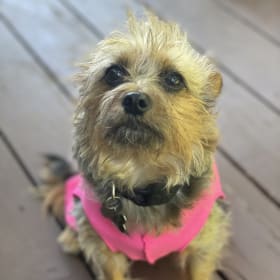 Coco