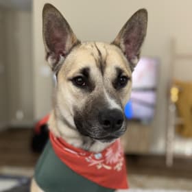 Kona