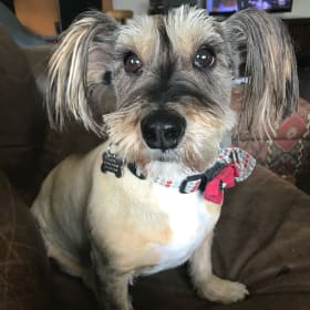 Greta Von Schtump