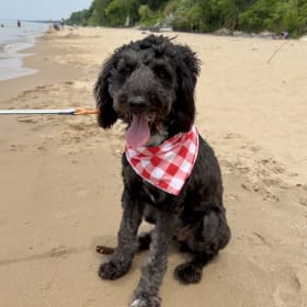 Arlo