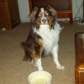 Zoe