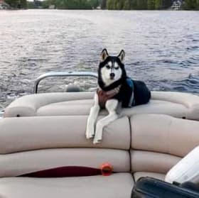Max