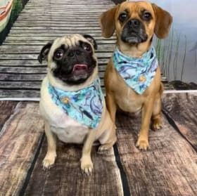 Hope and Lucy