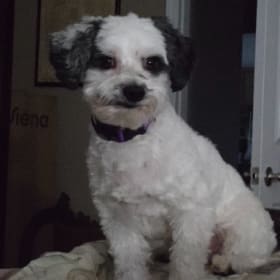 Gio