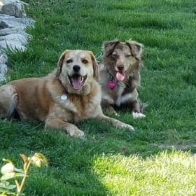 Tucker and Lexi