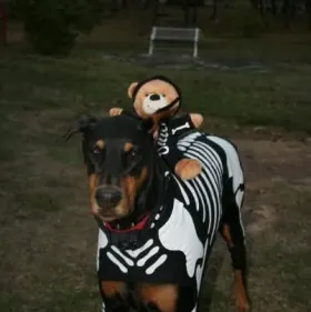 Raven Beau in the Halloween photo contest
