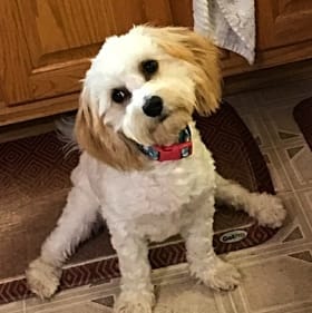 Chloe