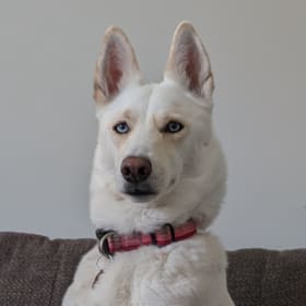 Freya